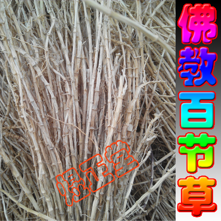 佛教用品百节草500克密宗火供专用福物吉祥草长寿草枕头打坐垫