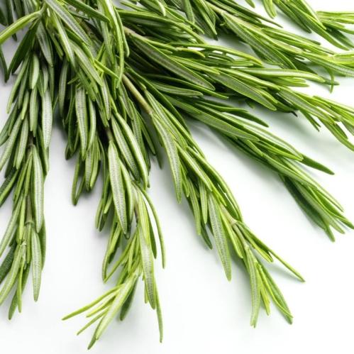 正品[小时代书包网]小时代4txt书包网评测 小时