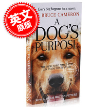 忠犬八公 导演新作 使命 犬心所向 为了与你相遇 英文原版 同名电影小说 卡梅隆 温情治愈 预售 Purpose Dog 一条狗