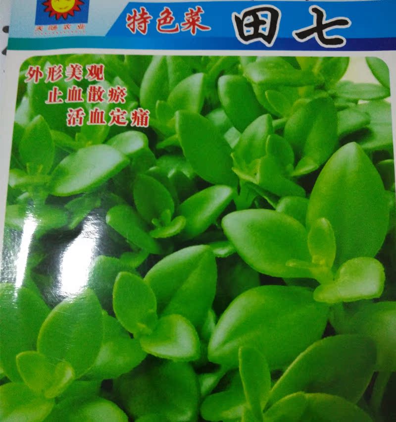 新种养生田七种子 藤三七 特色蔬菜种子四季采 种子补血