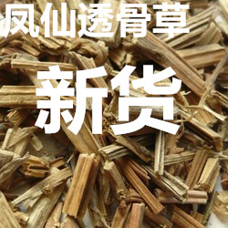 中药材透骨草  凤仙草凤仙梗凤仙花梗质量保证2斤包邮5斤送煎药带