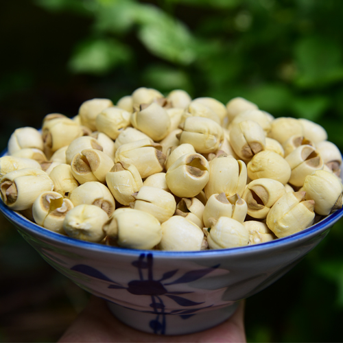 手工莲子 自然清香 无芯干货 小时候的味道250克