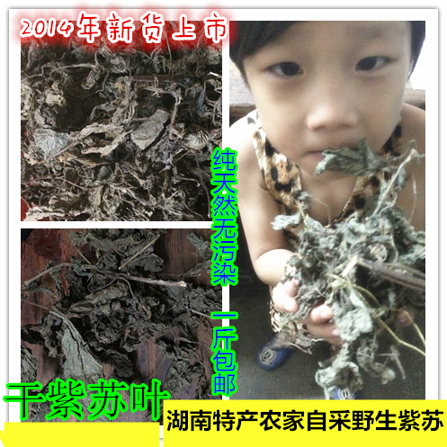 湖南特产天然野生紫苏叶干2014年紫苏叶田螺肉干去腥烧鱼虾蟹香料