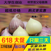 包邮 紫皮独头蒜干蒜头农家大蒜头500g新蒜独头大蒜3斤起 农人故事