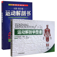 锻炼肌肉 手段和方法 医学实用性人体图谱临床工具书 现货 健身书籍 运动解剖学图谱 人体解剖学彩色图谱 运动解剖书 全2本