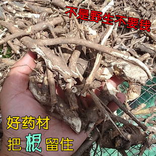 刺五加根东北长白山野生刺五加根部干品中药材安神助睡眠2件包邮
