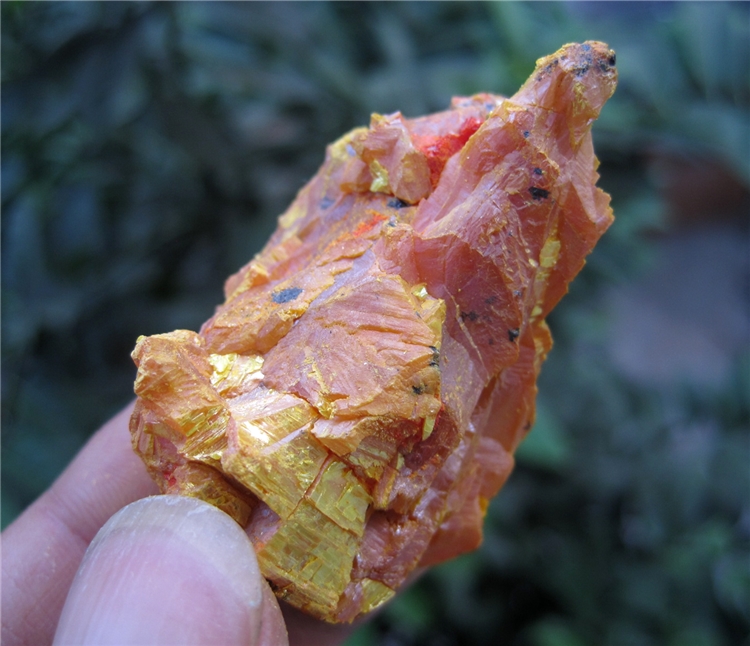 雌黄 三硫化二砷 雄黄 矿物标本 Orpiment 6926
