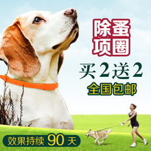 狗项圈去跳蚤圈 除蚤狗圈狗狗体外驱虫项圈除虱子防除跳蚤圈 免邮