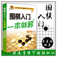 围棋专业培训指导书 围棋从入门到精通 快速掌握下围棋秘诀 围棋专业技巧 新华书店正版 围棋入门教程书籍 围棋入门一本就够