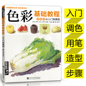 全集杨建飞主编高校考幼儿临摹范本教材书籍2017 色彩基础教程少儿童水粉画零基础入门个体静物调色彩书中国美院名师教你画色彩经典