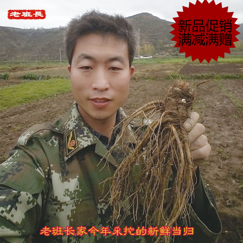 甘肃岷县非同仁堂野生特级纯天然全当归片农家粉无硫500g克包邮