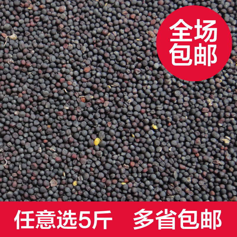 鸟食油菜籽虎皮牡丹鹦鹉芙蓉鸟玉鸟五斤包邮 御鸟坊