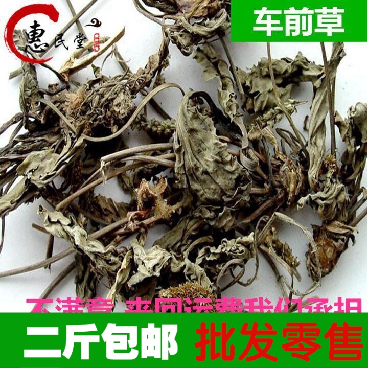材车前草 野生车前草优质全草 车前草 新品干货 500g2斤包邮