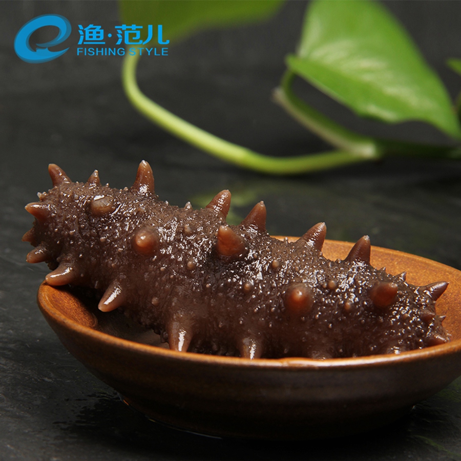 渔范儿知参堂大连海参即食野生海参礼盒辽参500g*2
