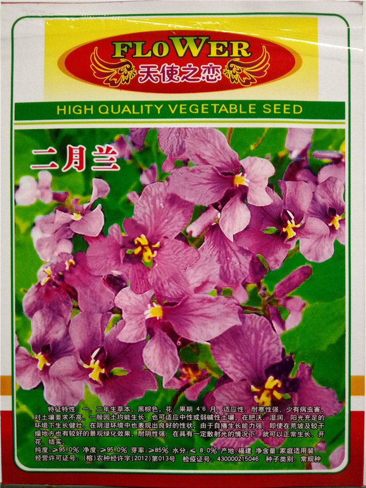 正品[观月亚希]星野亚希评测 友崎亚希影音先锋