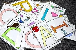 英语彩图分类单词卡英文闪卡大卡片 字母卡正反面 英语教师教具