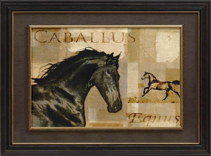 纯进口原版美国克拉斯美式家居马装饰画 马的始祖 equus caballus