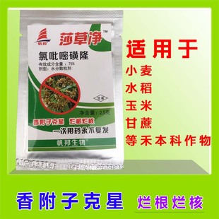 莎草净 75%氯吡嘧磺隆 甘蔗玉米禾本科作物杀香附子除草剂苗后