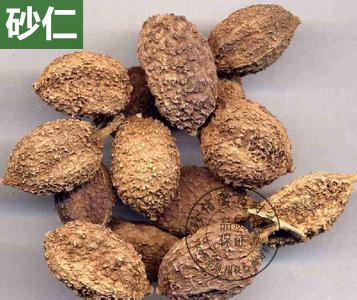 香料批发 阳春特产特级春沙仁毛砂仁春砂仁烧菜卤肉火锅500克包邮