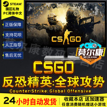 反恐精英全球攻势 steam游戏 csgo pc中文steam