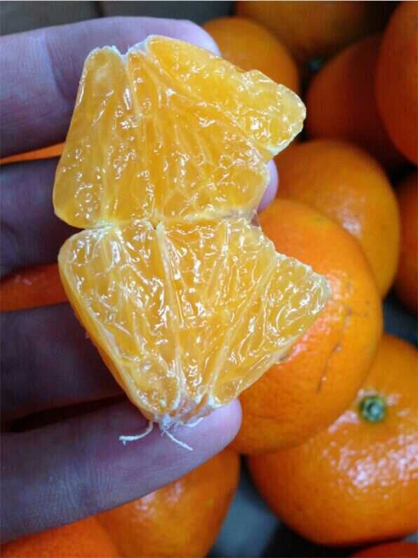 200元水果套餐,进口水果搭配,营养全面,邮费自