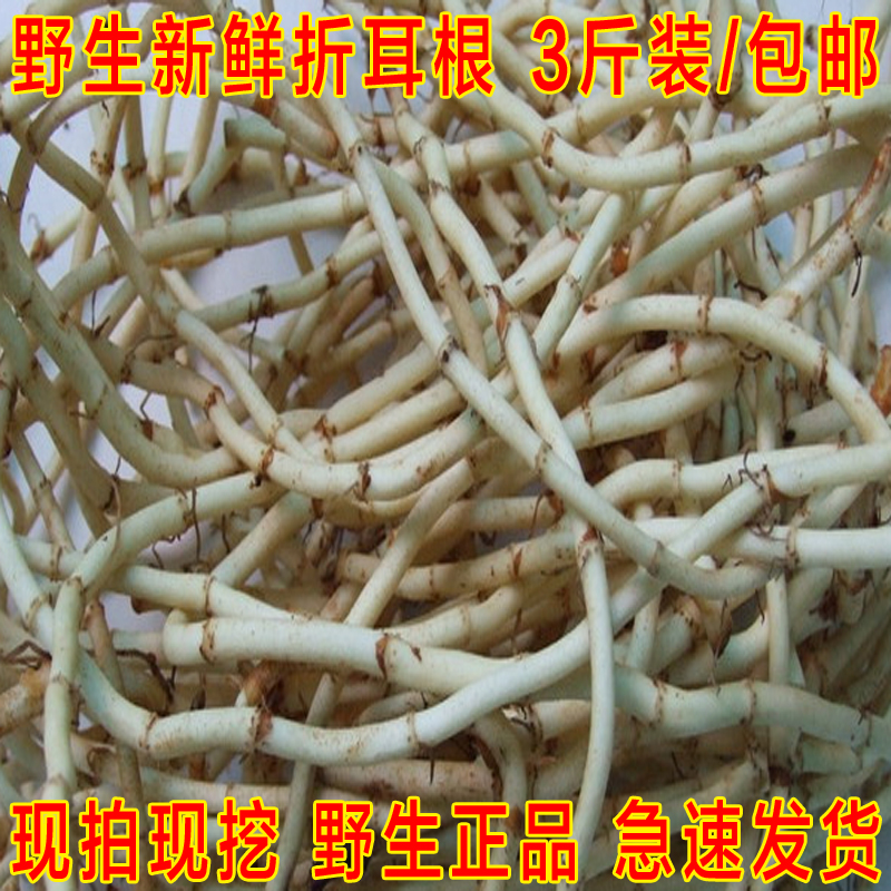 野生新鲜折耳根鱼腥草根3斤装 凉拌菜