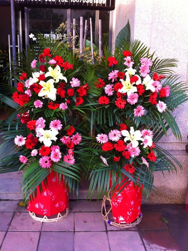 推荐最新晋江 文学网 小说 晋江文学网耽美小说