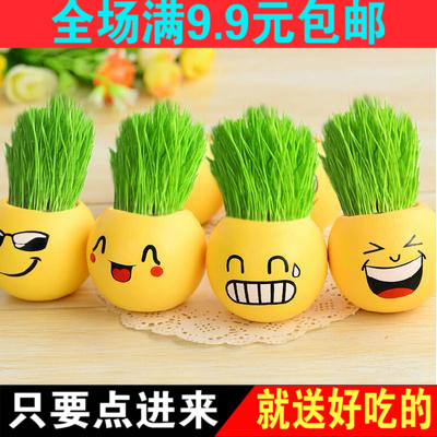 [2015爆款]MiiOW SECRET/猫人秘密<em>文胸</em>糖果