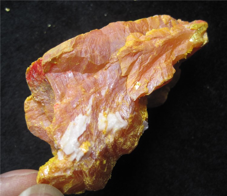 雌黄 三硫化二砷 雄黄石之家矿物标本 Orpiment 6036