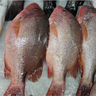 4ʱŻݱʺˮ650g