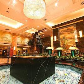 推荐最新东营大明新型建材 东营大明集团招聘