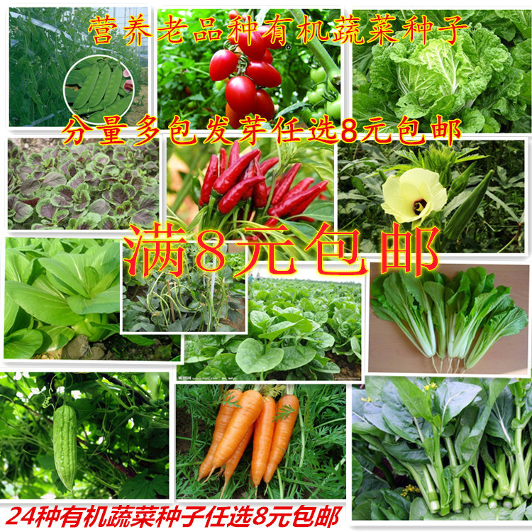 查看淘宝阳台庭院四季种植蔬菜种子套餐/水果青菜籽种/春播易种价格