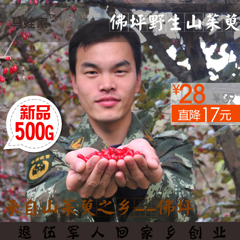 热卖2016年正宗佛坪秦岭野生山茱萸山萸肉枣皮精选中药材500克