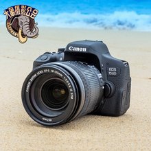 入门级高清数码 单反相机 760D WIFI 大象摄影 佳能750D Canon