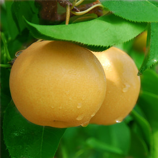 ơлˮ̨5