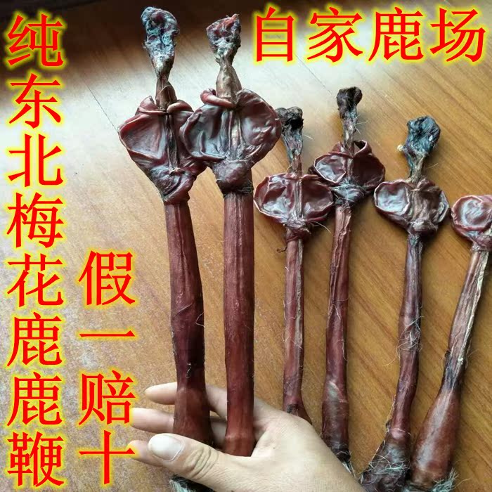 鹿鞭梅花鹿鹿鞭礼盒装整枝搭配鹿茸泡酒料男性滋补东北梅花鹿鹿鞭