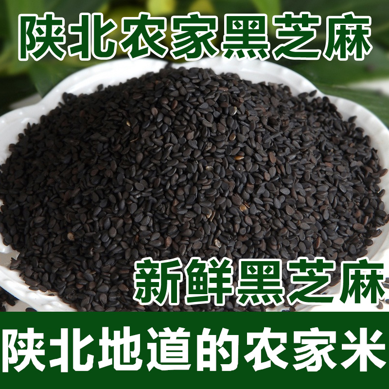 农家自产黑芝麻个大饱满 无糖磨粉代餐500克包装