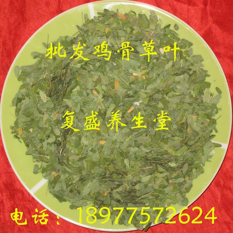 野生相思叶 鸡骨草茶 鸡骨草叶 清热利湿 养肝护肝500g