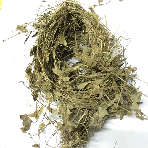 水线草 中药材 伞房花耳草 茜草科植物水线草的全草 500克