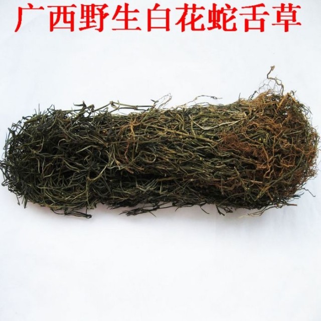 白花蛇舌草 野生白花蛇舌草 草蛇舌草 羊须草 蛇总管 500克