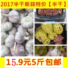 左右非山东5斤装 新蒜干蒜3元 9成干大蒜头低价 促销 包邮 2017