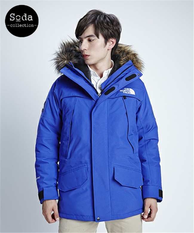the north face  antaica parka ޷ 17aw