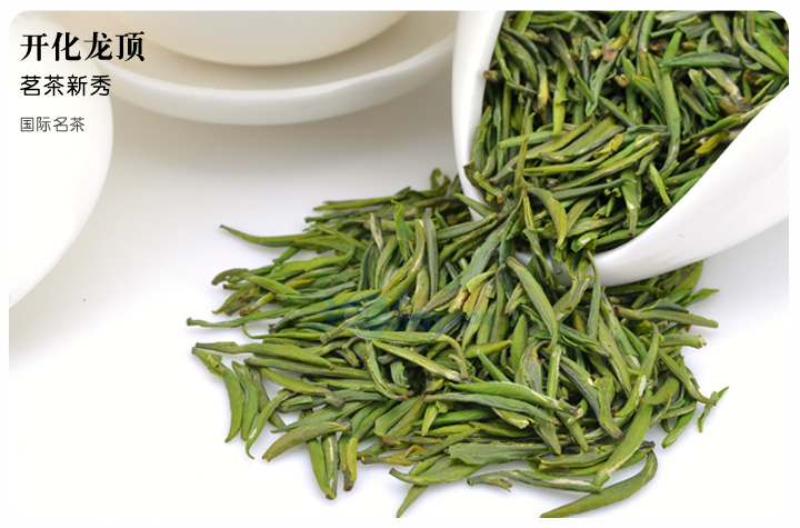 开化龙顶茶茶叶绿茶春茶衢州特产特级50g小芽龙鼎尖形清爽柔和