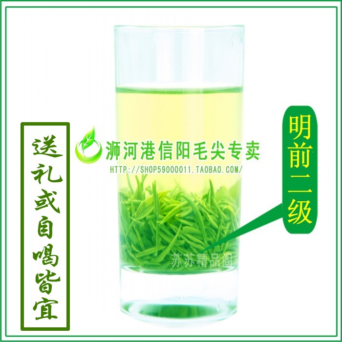 信阳毛尖2016年新茶叶春茶明前二级250g散装高山绿茶自产自销