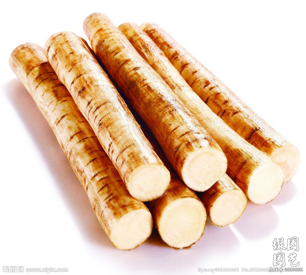 牛蒡子种子野生特菜 大力子籽养心养性降血压五行汤原料庭院蔬菜