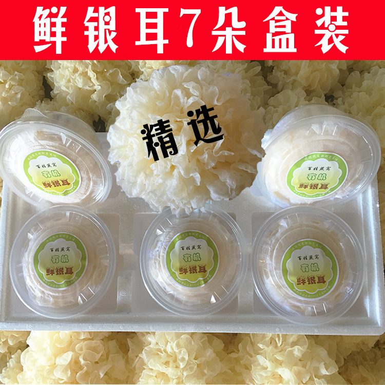 【7朵特价】农家新鲜银耳鲜活雪耳生鲜白木耳无污染糯耳7朵碗装
