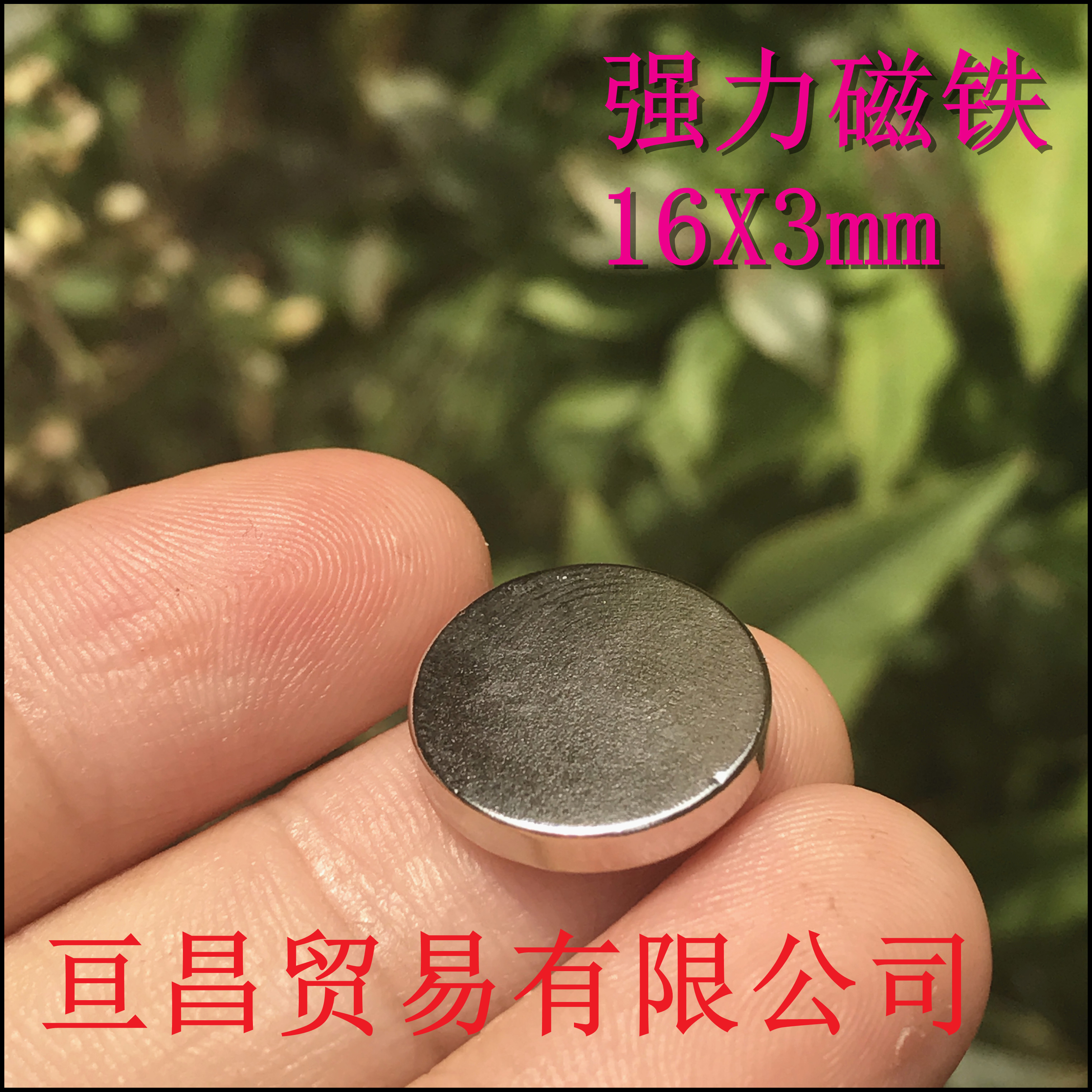 新品磁铁 钕铁硼强磁力铁强磁吸铁石 强力磁铁 圆形磁铁16x3mm_双氙