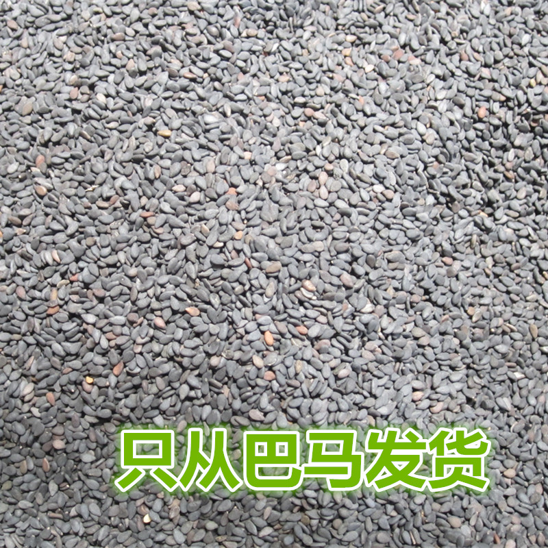 巴马特产黑芝麻超小颗粒 味道清香 天然补品