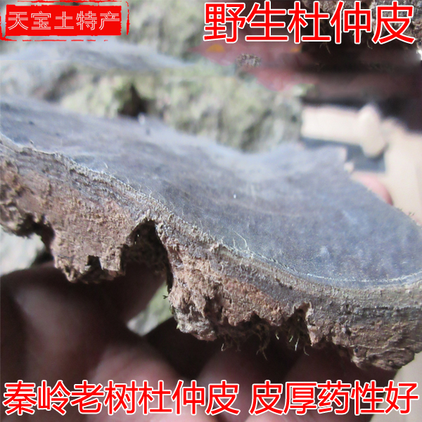 野生杜仲 略阳杜仲 秦岭特级杜仲 老树粗皮杜仲 包邮 新品500g/份