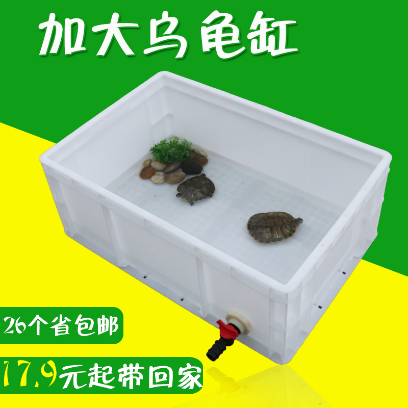 查看淘宝大力士乌龟缸养龟盆龟箱龟池乌龟饲养盒子 巴西龟草龟鳄龟